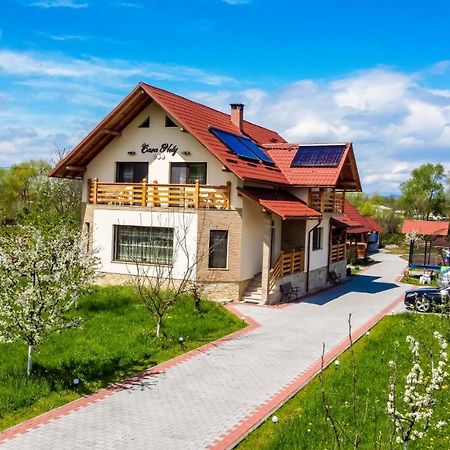 Casa Nely Ξενοδοχείο Sighetu Marmaţiei Εξωτερικό φωτογραφία