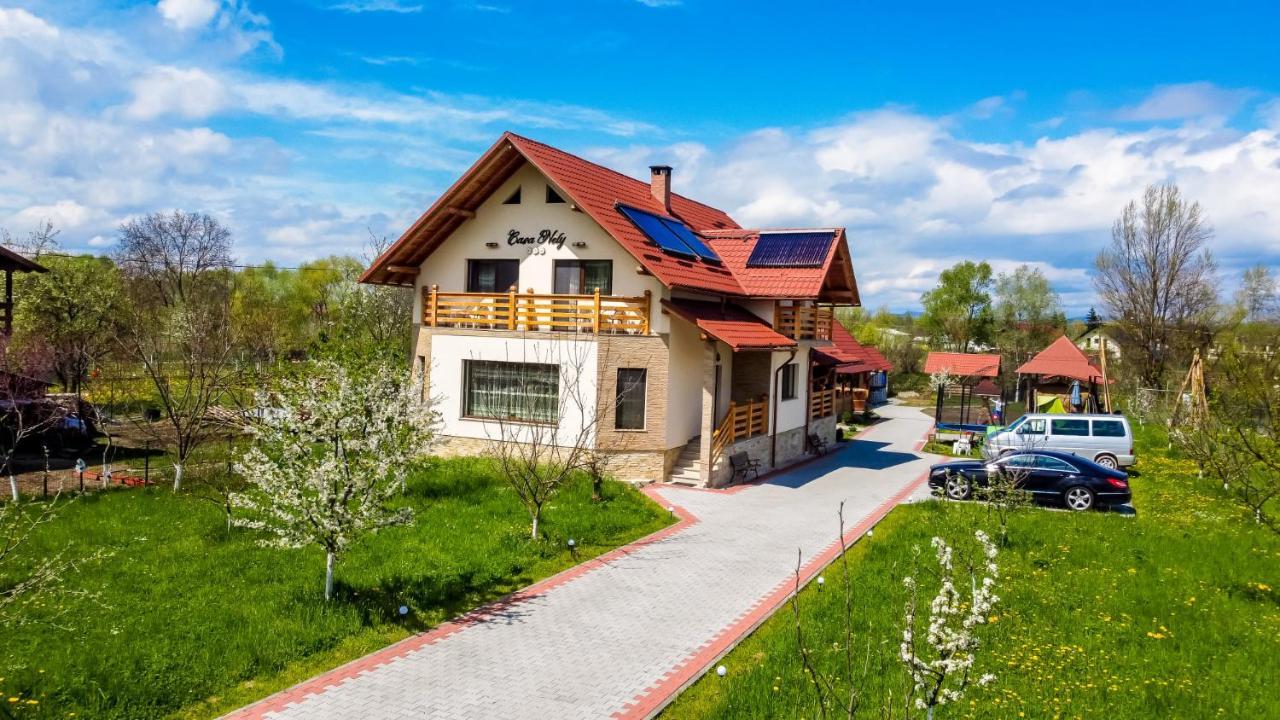 Casa Nely Ξενοδοχείο Sighetu Marmaţiei Εξωτερικό φωτογραφία