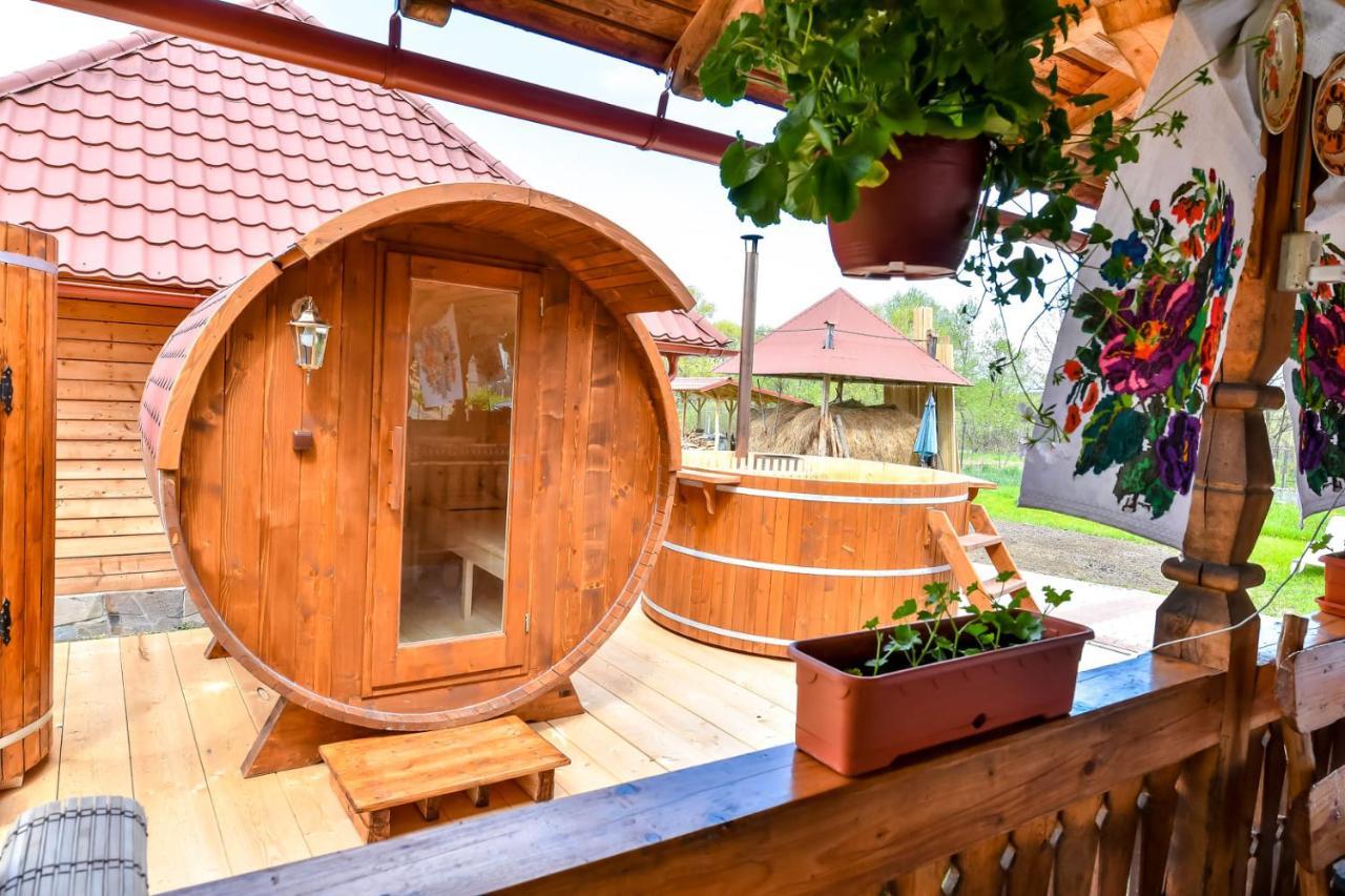 Casa Nely Ξενοδοχείο Sighetu Marmaţiei Εξωτερικό φωτογραφία