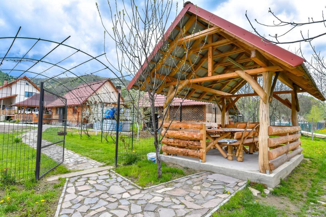 Casa Nely Ξενοδοχείο Sighetu Marmaţiei Εξωτερικό φωτογραφία